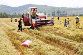 Tổng hợp nhanh tổng điều tra nông thôn, nông nghiệp và Thủy sản năm 2016